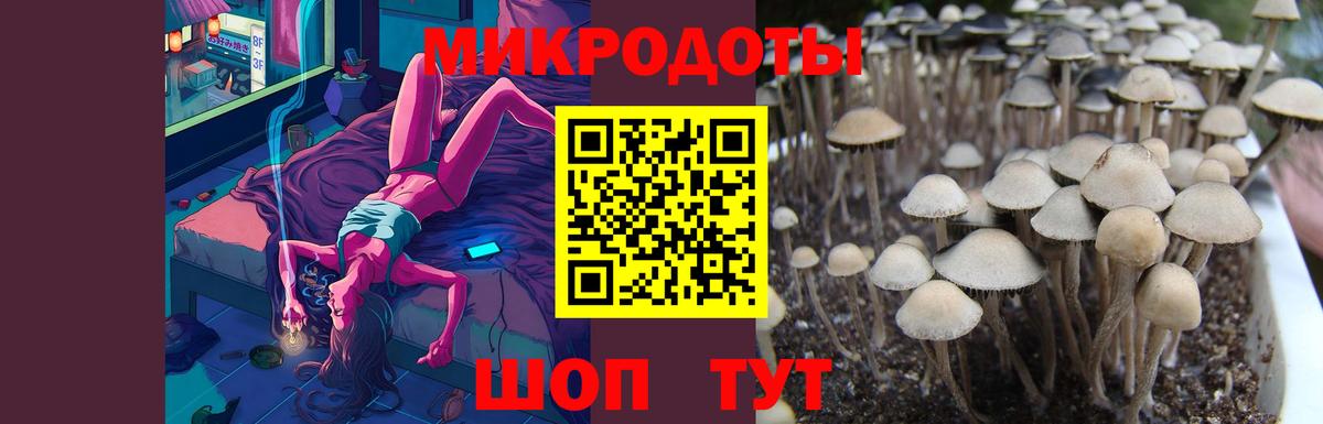 Псилоцибиновые грибы ЛСД Краснокамск